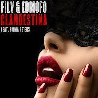 Filv